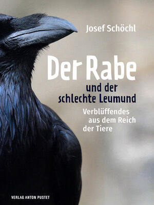 cover image of Der Rabe und der schlechte Leumund